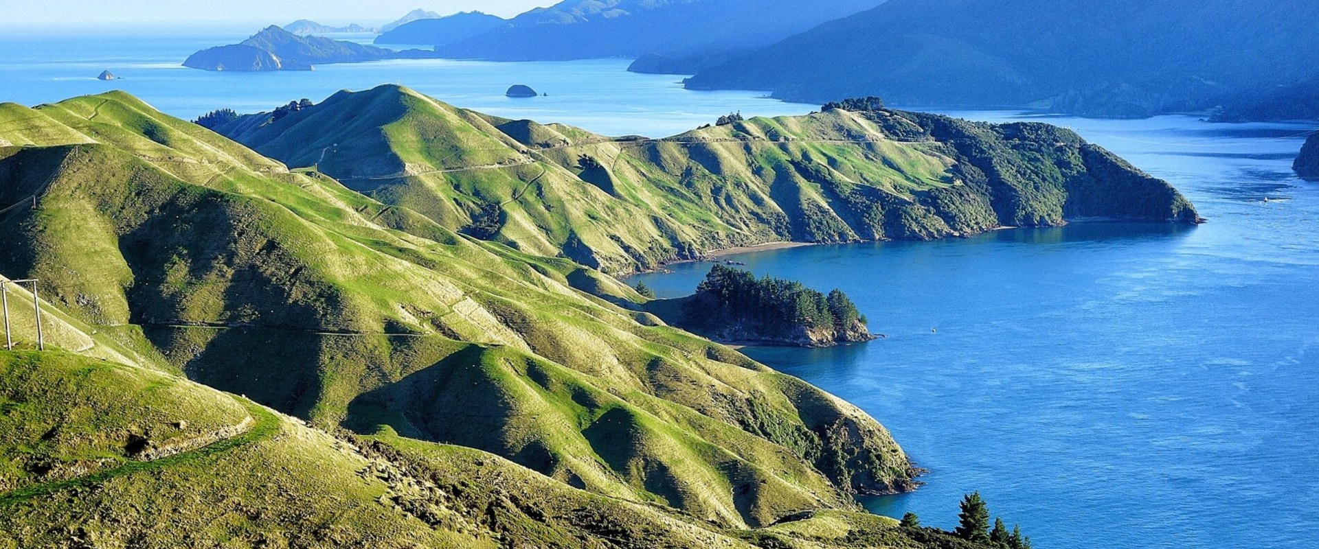 Steps to Form a Company in New Zealand: A Comprehensive Guide