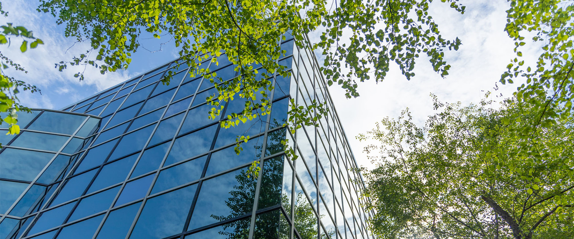 Accessing Global Markets: A Comprehensive Guide to Setting Up a Company in New Zealand