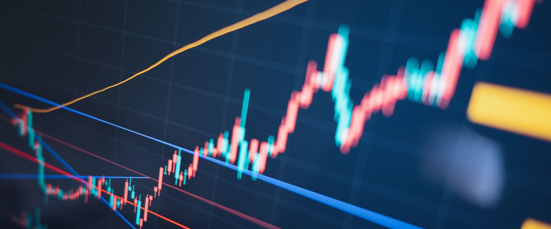 Exploring the Opportunities of Wellington for Company Formation and Property Investment