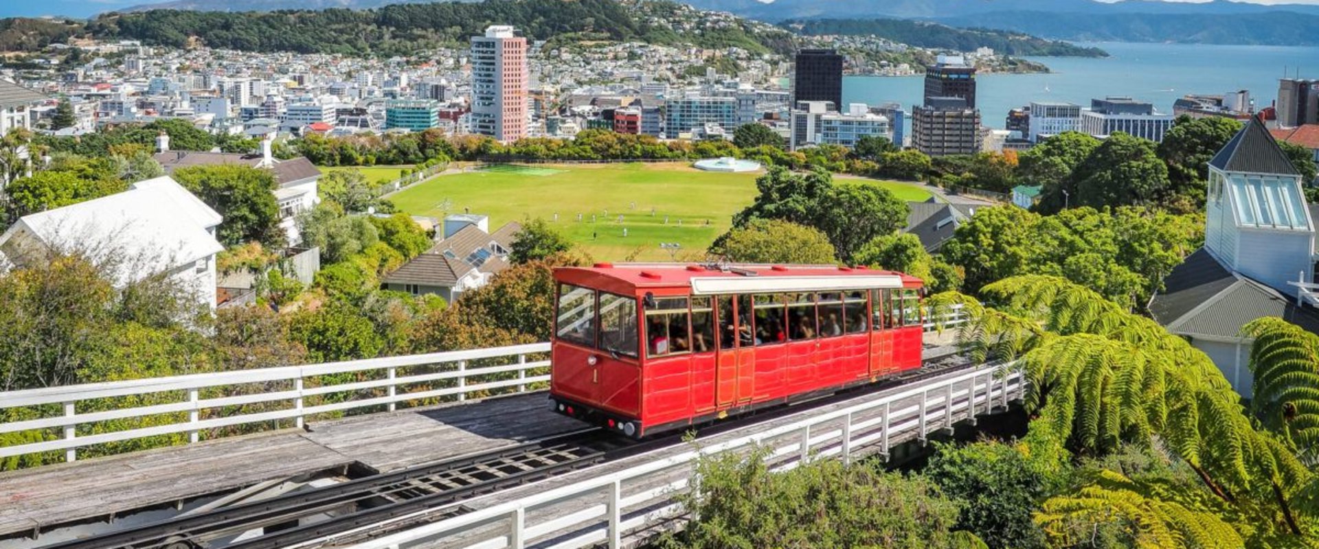 Types of Companies in New Zealand - A Comprehensive Overview