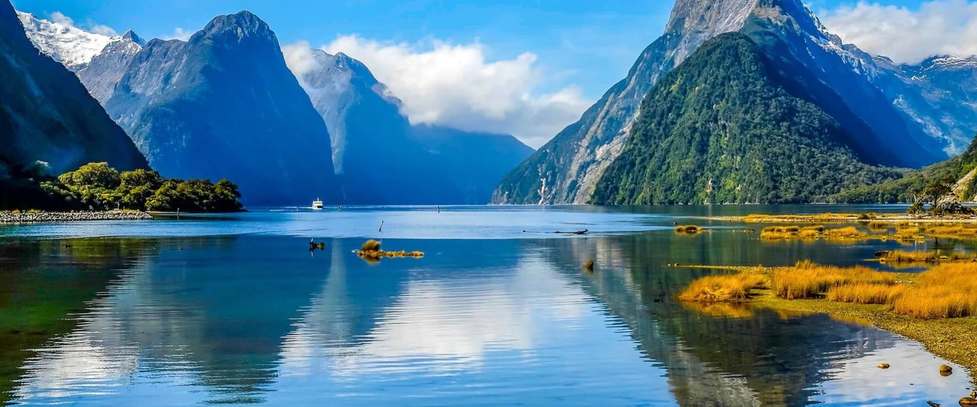 Maximizing Steady Rental Income in New Zealand: A Comprehensive Guide