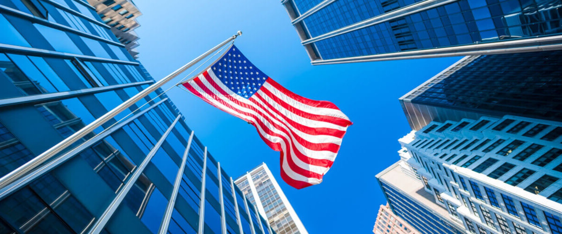 Understanding Registration Fees for Company Formation in New Zealand