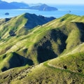 Steps to Form a Company in New Zealand: A Comprehensive Guide