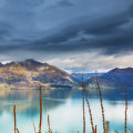 A Comprehensive Overview of Family Trusts in New Zealand