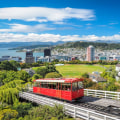 Types of Companies in New Zealand - A Comprehensive Overview