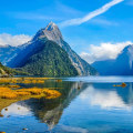 Maximizing Steady Rental Income in New Zealand: A Comprehensive Guide