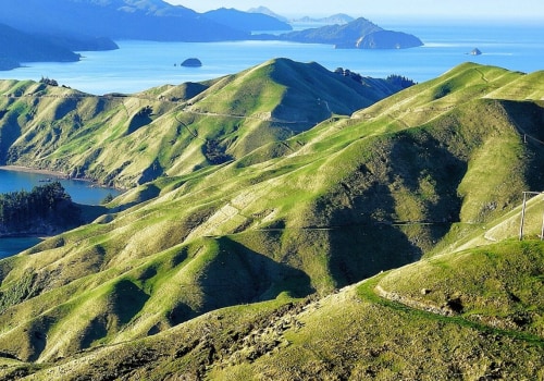 Steps to Form a Company in New Zealand: A Comprehensive Guide
