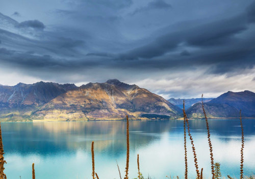A Comprehensive Overview of Family Trusts in New Zealand