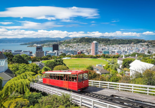Types of Companies in New Zealand - A Comprehensive Overview