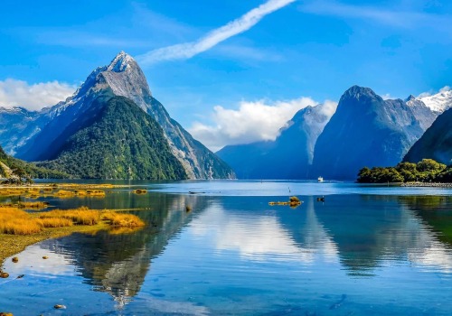 Maximizing Steady Rental Income in New Zealand: A Comprehensive Guide